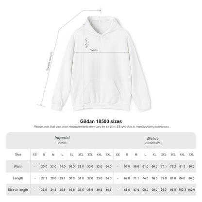 Cali Rich graphic "Grind Now Shine Later" Pullover Hoodie Unisex Heavy Hooded Sweatshirt Cali Rich Clothing